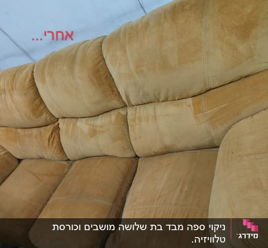ספה בצבע בז